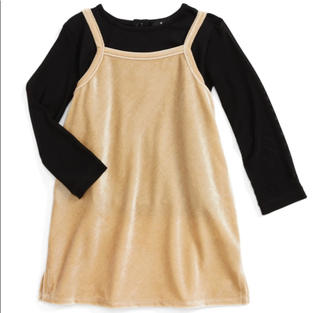 Bardot Velvet Slip Dress